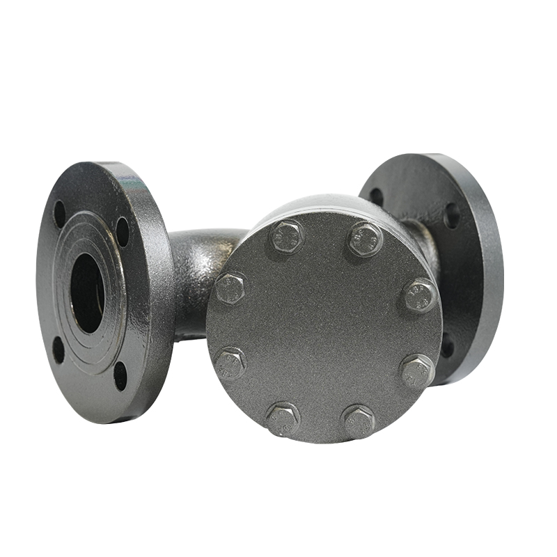 PN16 DN50/DN80 Flanged duktil jern Y-type sil